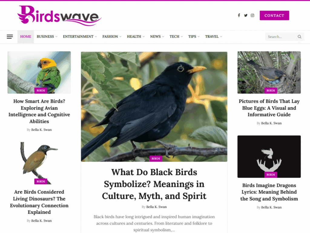 Review birdswave.com domain collaboration opportunities, guest posts, backlink exchanges and marketing outreach options