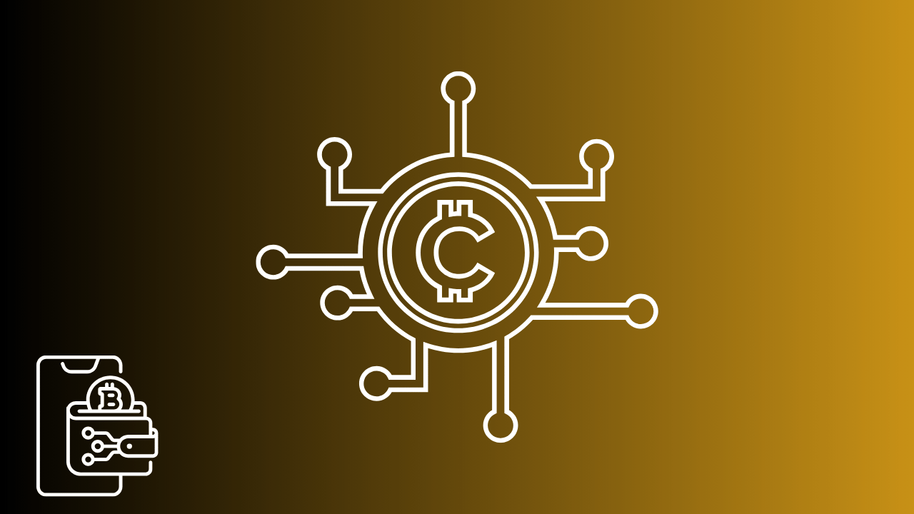 A conceptual graphic showing a digital cryptocurrency wallet and a central network hub, illustrating the key differences between crypto accounting and crypto bookkeeping for investors.