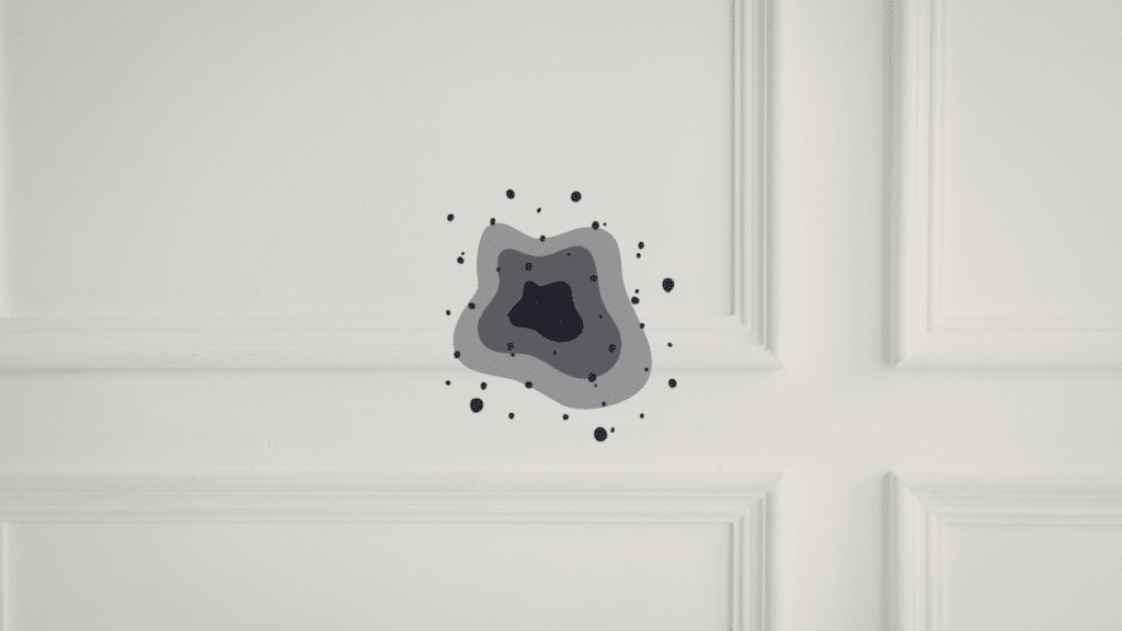 A close-up view of toxic black mold growth spreading on a white interior wall, illustrating the specialized detection work a certified mold assessor performs.