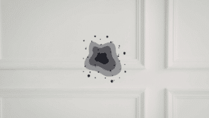 What a Certified Mold Assessor Does That No Other Inspector Can