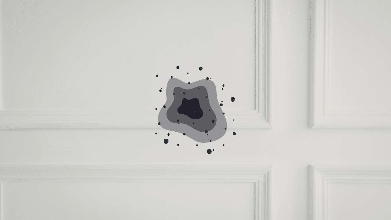 A close-up view of toxic black mold growth spreading on a white interior wall, illustrating the specialized detection work a certified mold assessor performs.