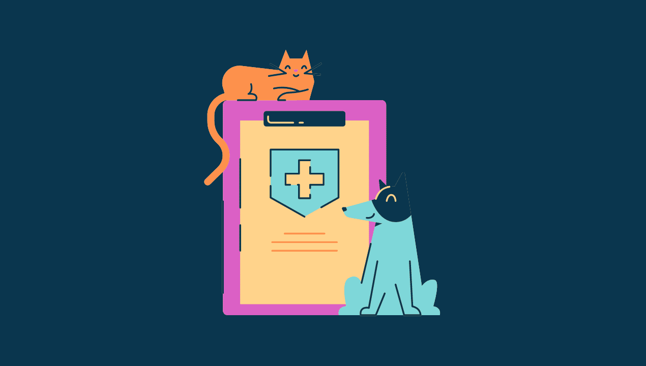 Is Your Vet In-Network with Pet Insurance The Ultimate Guide